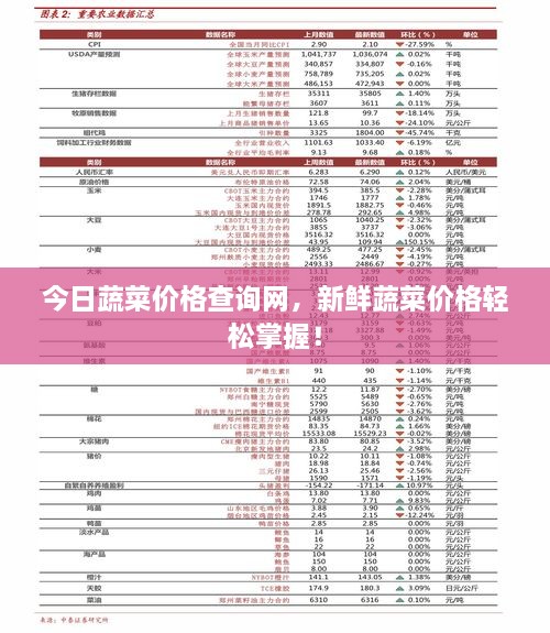 今日蔬菜價(jià)格查詢網(wǎng)，新鮮蔬菜價(jià)格輕松掌握！