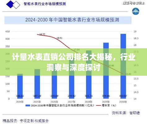 計量水表直銷公司排名大揭秘，行業(yè)洞察與深度探討