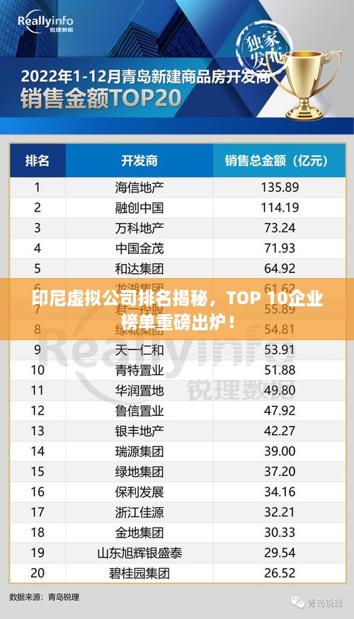 印尼虛擬公司排名揭秘，TOP 10企業(yè)榜單重磅出爐！