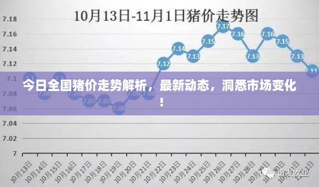 今日全國豬價(jià)走勢解析，最新動(dòng)態(tài)，洞悉市場變化！