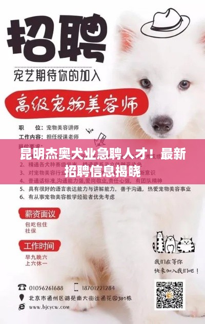 昆明杰奧犬業(yè)急聘人才！最新招聘信息揭曉