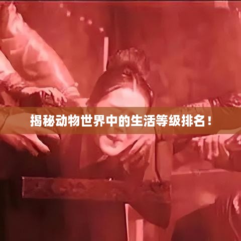 揭秘動(dòng)物世界中的生活等級(jí)排名！