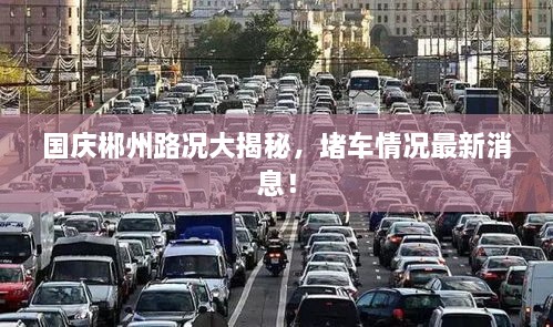 國慶郴州路況大揭秘，堵車情況最新消息！