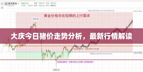 大慶今日豬價走勢分析，最新行情解讀