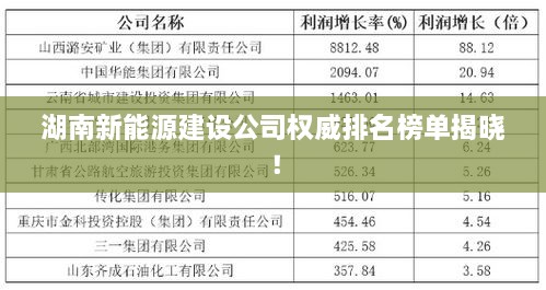 湖南新能源建設(shè)公司權(quán)威排名榜單揭曉！