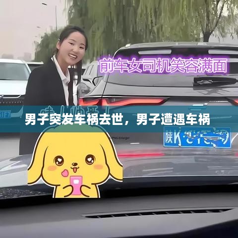 男子突發(fā)車禍去世，男子遭遇車禍 