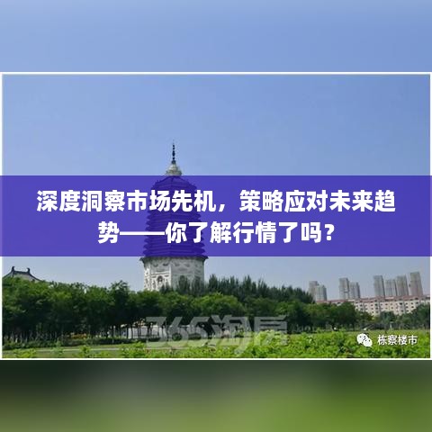 深度洞察市場先機(jī)，策略應(yīng)對未來趨勢——你了解行情了嗎？