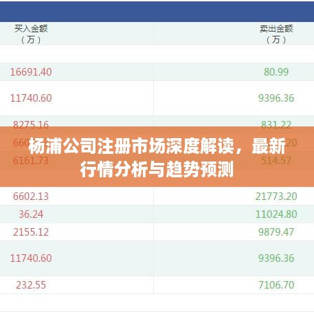 楊浦公司注冊市場深度解讀，最新行情分析與趨勢預(yù)測