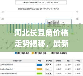 河北長豆角價格走勢揭秘，最新行情分析報告！