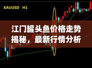 江門罐頭魚價格走勢揭秘，最新行情分析