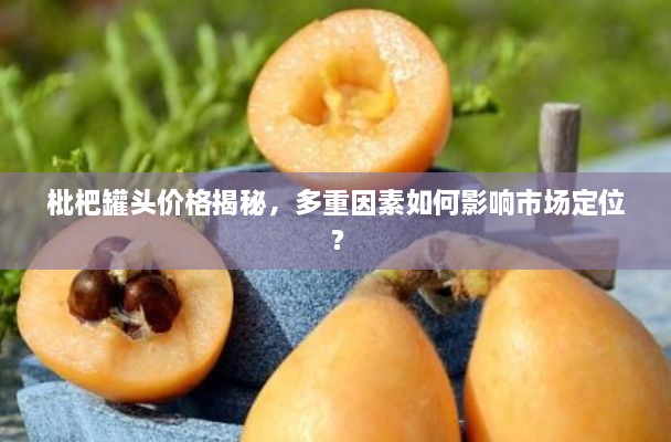 枇杷罐頭價(jià)格揭秘，多重因素如何影響市場定位？