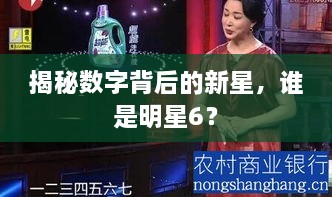 揭秘數(shù)字背后的新星，誰是明星6？