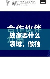 獨(dú)家要什么領(lǐng)域，做獨(dú)家代理有什么要求 