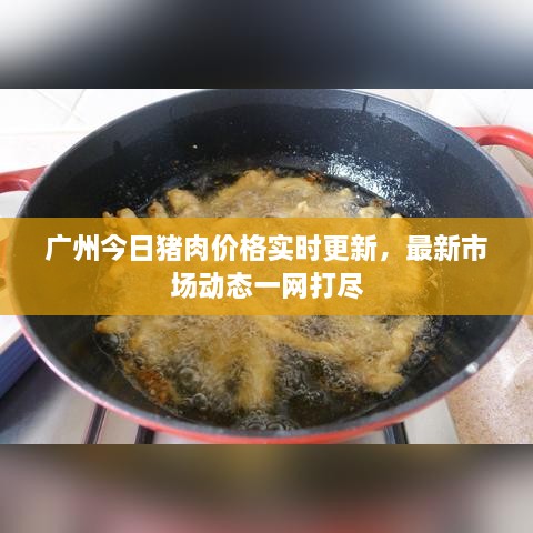 廣州今日豬肉價格實時更新，最新市場動態(tài)一網(wǎng)打盡