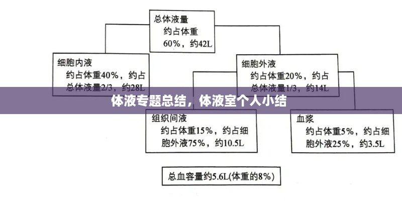 體液專題總結，體液室個人小結 