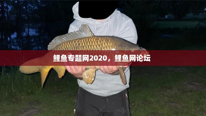 鯉魚專題網(wǎng)2020，鯉魚網(wǎng)論壇 